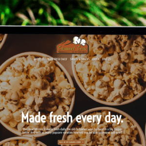 DTN Simple Website — customized, single-page website